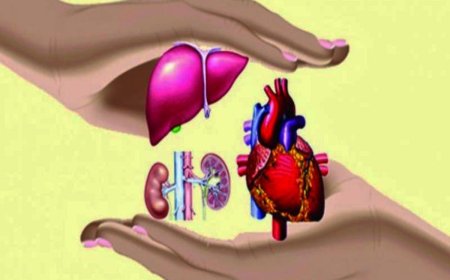 Multi-organ transplant activity from brain dead donors- Act of Generosity