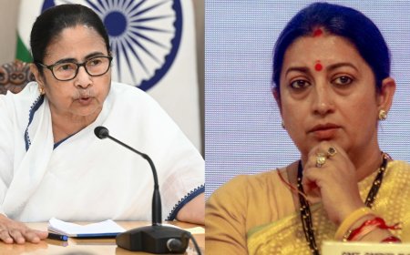 'Political gimmick': Oppn raises pitch against CAA; BJP hits back says 'stop spreading lies'