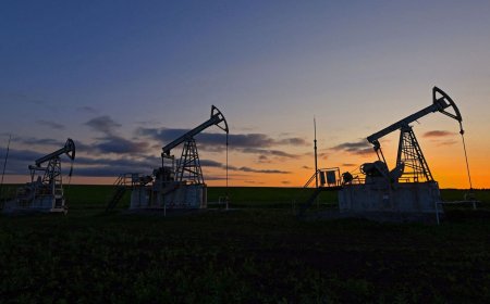 Oil settles near 4-month high, logs 3% weekly gain on IEA demand forecast, Ukraine attack; Brent at $83/bbl