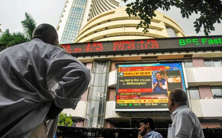 ₹19 to  ₹246: Penny stock RVNL turns multibagger. Rises 1150% in five years