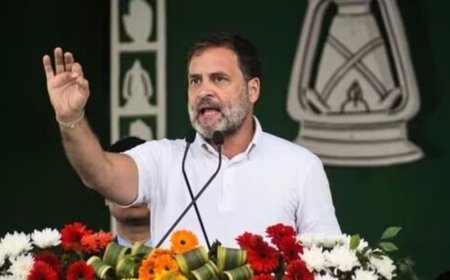 Rahul Gandhi slams BJP on 'Constitution change' controversy, says 'doesn’t have courage to...'