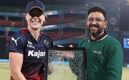 IPL 2024: RCB's Ellyse Perry receives framed 'broken window' for eliminator win vs MI