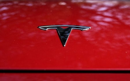 EV policy could intensify competition in the long run