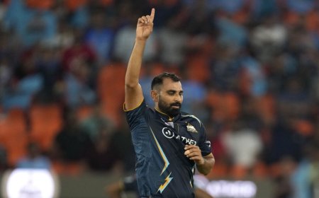 List of Purple Cap winners yearwise 2008-2023: Leading IPL wicket-takers over the years; Bravo, Mohammed Shami and more