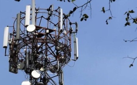 Bharti Hexacom IPO: Airtel arm's public issue to open on April 3, TCIL to offload 15% stake; Details here