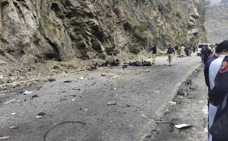 Pakistan to conduct DNA test of bomber who killed 5 Chinese nationals