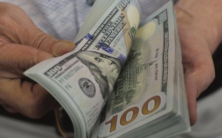 RBI likely sold US dollars after rupee slips to fresh record low, traders say