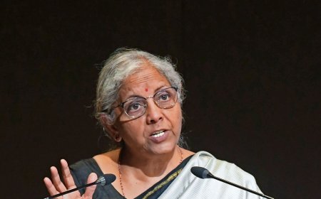 FM Nirmala Sitharaman has no money to contest Lok Sabha polls: Here's how much it costs to fight elections in India