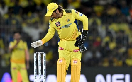 IPL 2024: ‘No one better than MS Dhoni in India’, Steve Smith calls him ‘tremendous person’