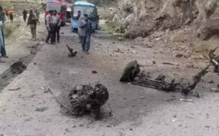 Chinese investigators join probe into suicide attack in Pakistan