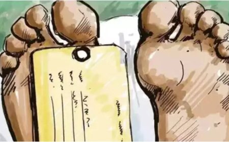 Japanese officials inspect 2 factories making health supplements linked to 5 deaths