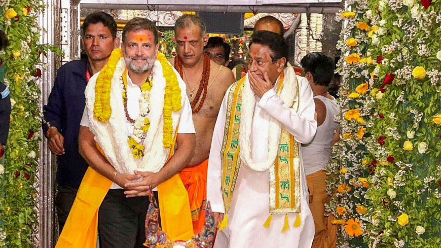 Rahul Gandhi greeted with 'Modi-Modi' chants, potatoes as Bharat Jodo Nyay Yatra passes through MP