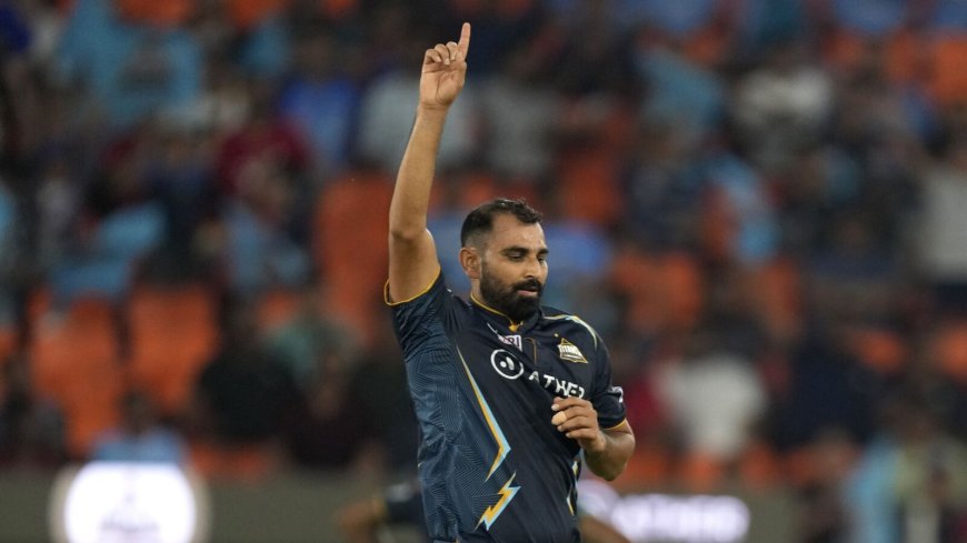 List of Purple Cap winners yearwise 2008-2023: Leading IPL wicket-takers over the years; Bravo, Mohammed Shami and more