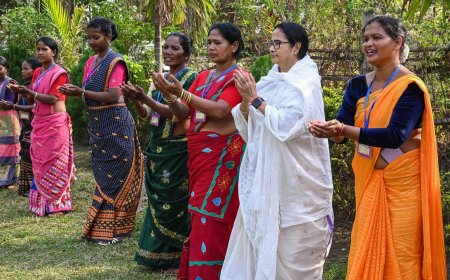 West Bengal CM Mamata Banerjee plays drums, dances with tribals in Jalpaiguri | Watch