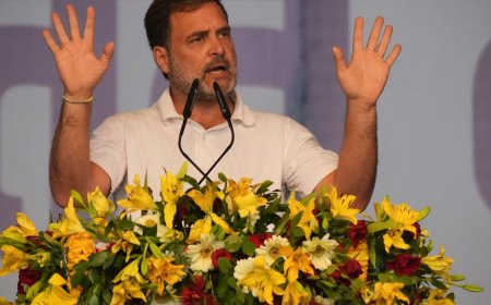 Lok Sabha Elections 2024: 5 mutual funds, 10 stocks that Rahul Gandhi has invested in