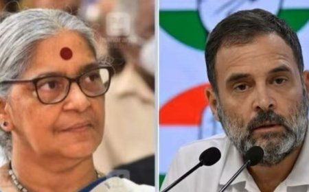 Rahul Gandhi declares details of his income, assets ahead of Wayanad battle: THIS is how rich he is