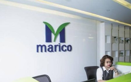 Marico stock rises 3% after company reports gradual uptick in Q4 growth