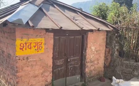 7 Nepal tourists dead after vehicle falls into gorge in Nainital