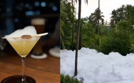 B'luru restaurant adds a splash of lake's 'toxic foam' to drink