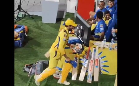 Watch: Jadeja's playful gesture as Dhoni walks out to a roar