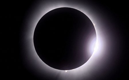 'I cried a little': Babies born, weddings held as millions enjoy awe and beauty of total solar eclipse