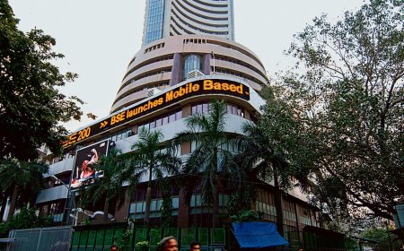 Sensex at 75,000: Reliance, Sun Pharma, Tata Motors, M&amp;M, Maruti among top 10 key gainers that led the rally