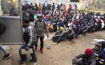 6,000 workers from India to be brought to Israel by May amid Gaza conflict