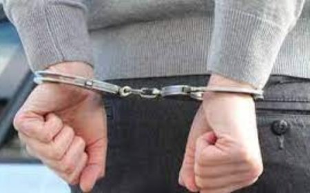 Khalistan Zindabad Force member arrested from Delhi airport