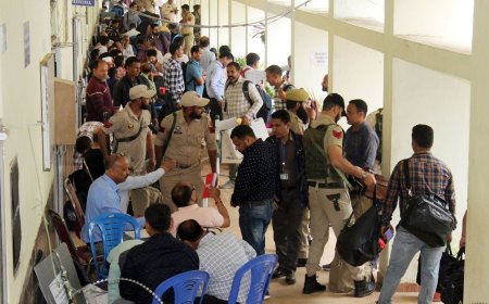 Lok Sabha Elections 2024: Udhampur sees 65% voter turnout till 5 pm as J&amp;K votes for first time after Article 370 repeal