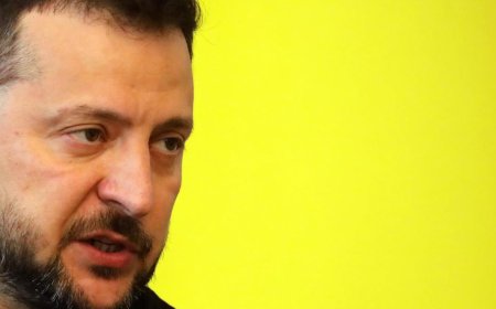 Nato must choose 'whether we indeed are allies': Ukraine President Volodymyr Zelenskyy