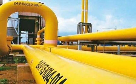 Gujarat State Petronet share price locked at 20% lower circuit after PNGRB cuts pipeline transmission tariff