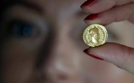 UK couple discovers over 1000 17th-century coins while renovating kitchen