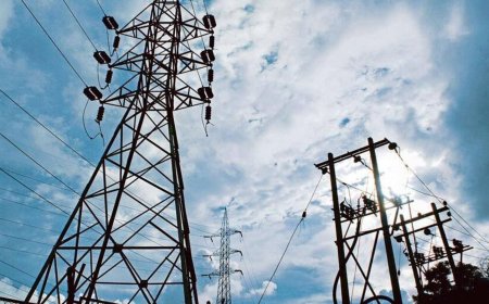 Schneider Electric: This multibagger stock turned  ₹1 lakh into over  ₹4 lakh in just a year; should you buy?