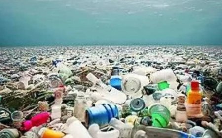 Ottawa meet to underline urgency for global plastic pollution treaty