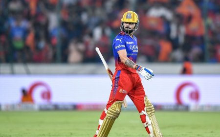 Who won yesterday IPL match? Top highlights of last night's RCB vs SRH match