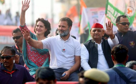 Lok Sabha Elections 2024: Congress likely to discuss Amethi, Raebareli seats in today's CEC meeting