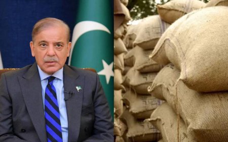 Pakistan: PM Shehbaz Sharif raises wheat procurement target amid farmer protests