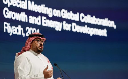 Saudi Arabia's Vision 2030 projects to be adjusted as needed, finance minister says