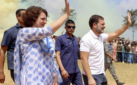 Rahul, Priyanka unlikely to contest from Amethi, Raebareli seats, say sources as Lok Sabha nomination deadline looms