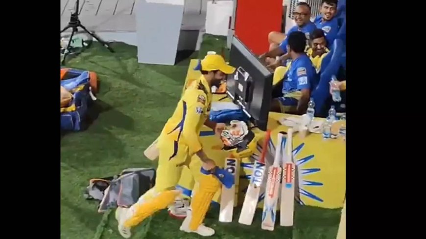 Watch: Jadeja's playful gesture as Dhoni walks out to a roar