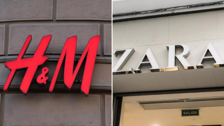 Report links H&M, Zara to environmental destruction in Brazil