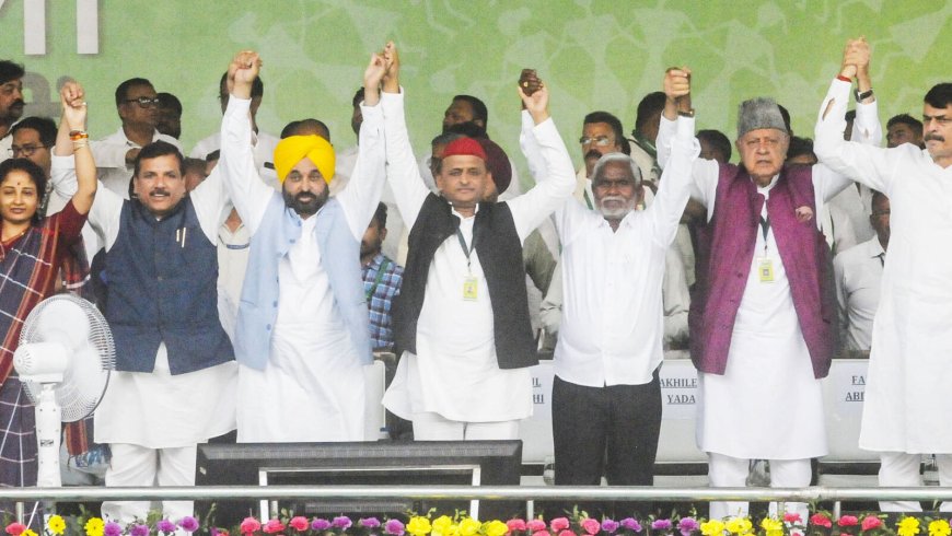 Lok Sabha Elections: India will be like Russia with no Opposition, if BJP comes to power, says Punjab CM Bhagwant Mann