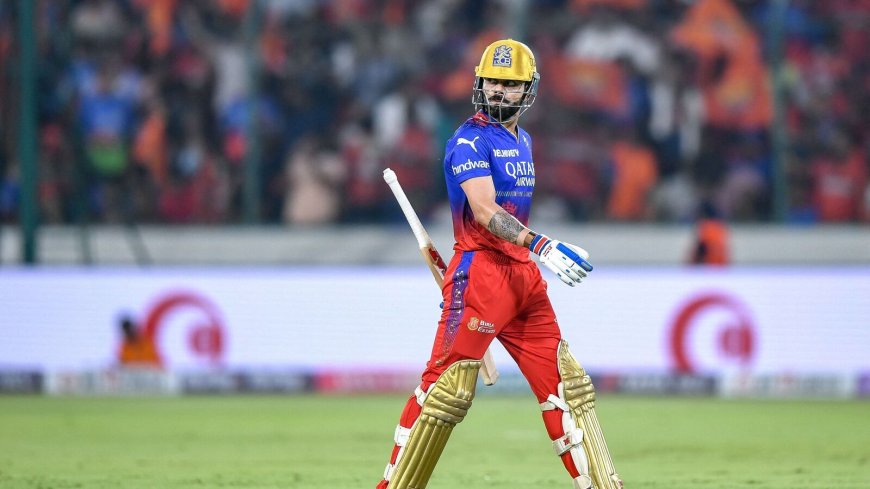 Who won yesterday IPL match? Top highlights of last night's RCB vs SRH match