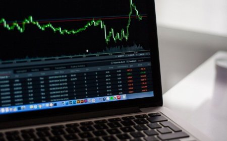 Multibagger Stock: Emudhra delivered 64% return in 2024, zoomed 245% in a year; should you still buy?