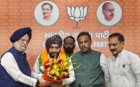 Lok Sabha Elections 2024: When ex-Congress leader Arvinder Singh Lovely said he was an 'ideological misfit' in BJP