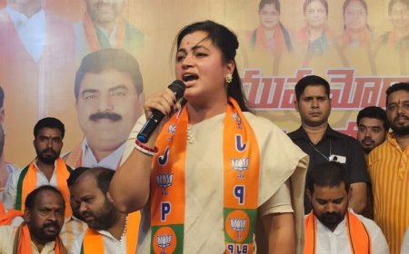 'We don't think about how to draw sword': After Owaisi brothers, BJP's Navneet Rana comes after Rahul Gandhi