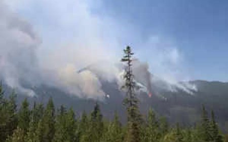 Wildfire in Canada's British Columbia forces thousands to evacuate