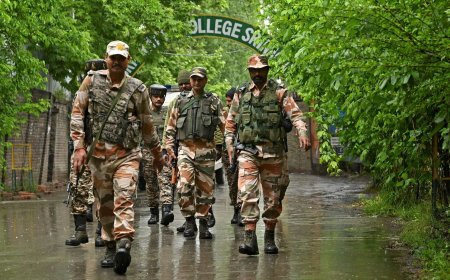 Lok Sabha Elections 2024: In 2019, BJP &amp; allies won 47 of 96 seats voting in Phase 4 today, Congress won 6