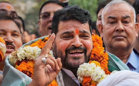 Brij Bhushan opposes UP govt's 'bulldozer policy': 'Building home is very difficult...'