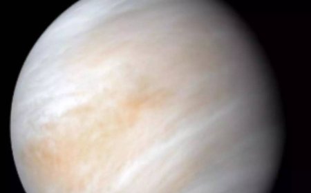 Venus's water mystery: Could a simple molecule be the culprit?